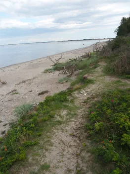 Halshuisene + Enebaerodde Beach (Denemarken)